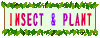₳